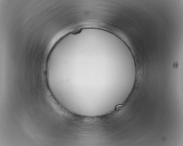 X0000113081146200909182043