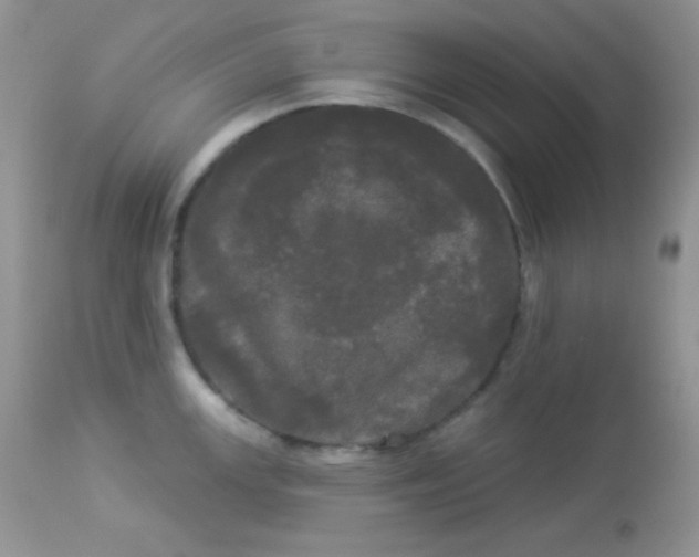 X0000113081147200909182043