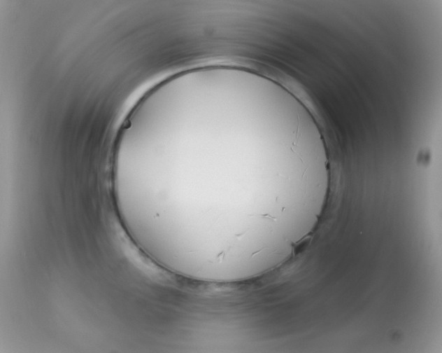 X0000113081148200909182043