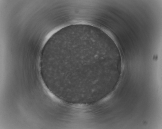 X0000113081149200909182043