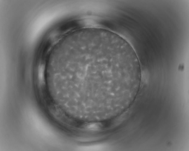 X0000113081150200909182043