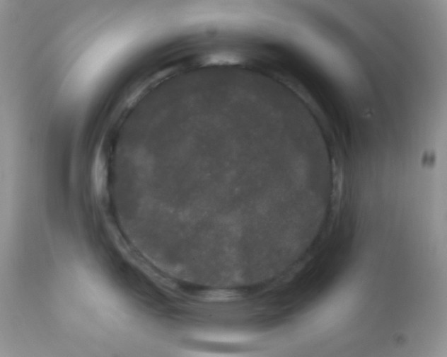 X0000113081151200909182043