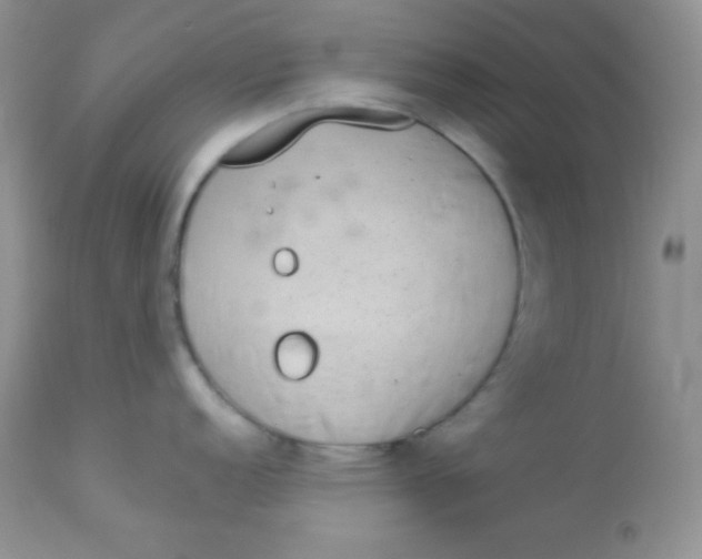 X0000113081152200909182043