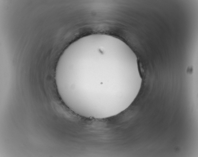 X0000113081153200909182042