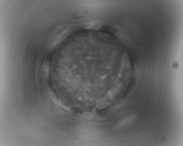 X0000113081154200909182042