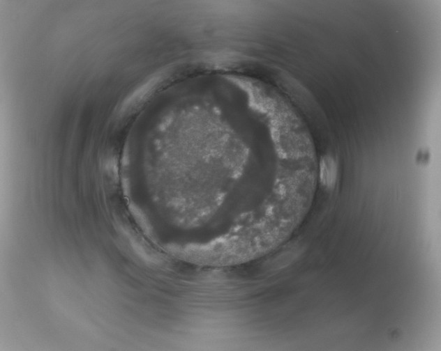 X0000113081155200909182042