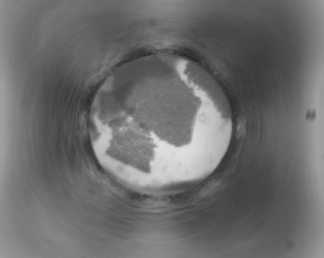 X0000113081156200909182042