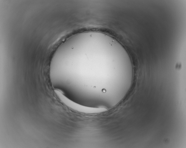 X0000113081157200909182042