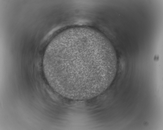 X0000113081158200909182042