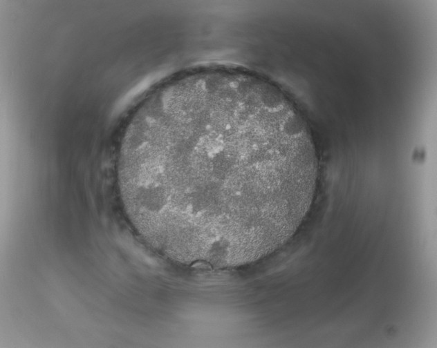 X0000113081159200909182042