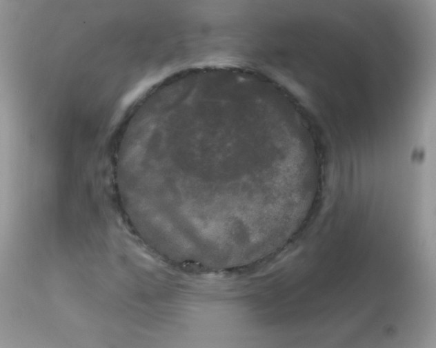 X0000113081160200909182042