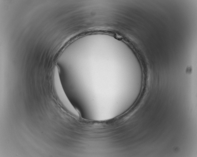 X0000113081161200909182042