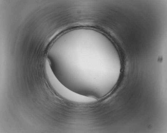 X0000113081162200909182042