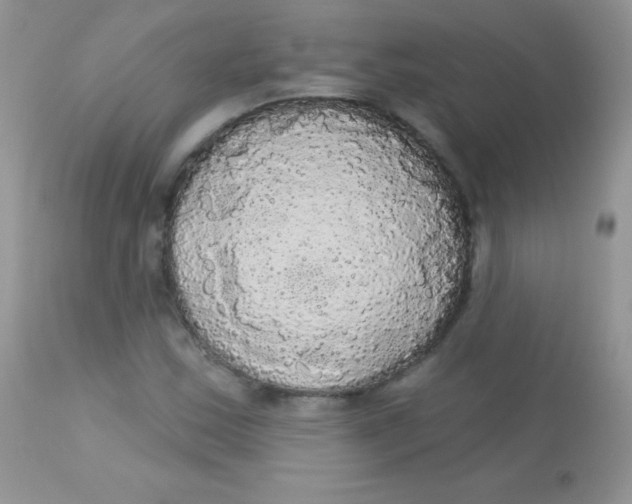 X0000113081163200909182042