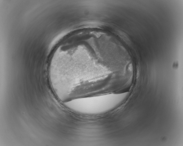 X0000113081164200909182042