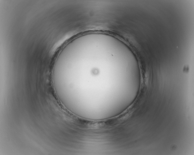 X0000113081165200909182042