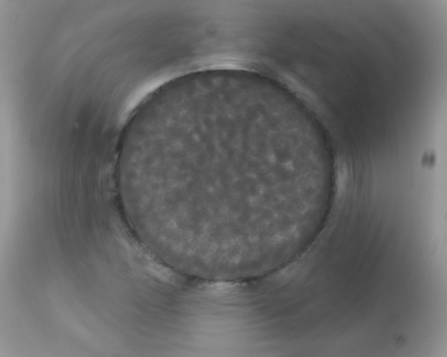 X0000113081166200909182042