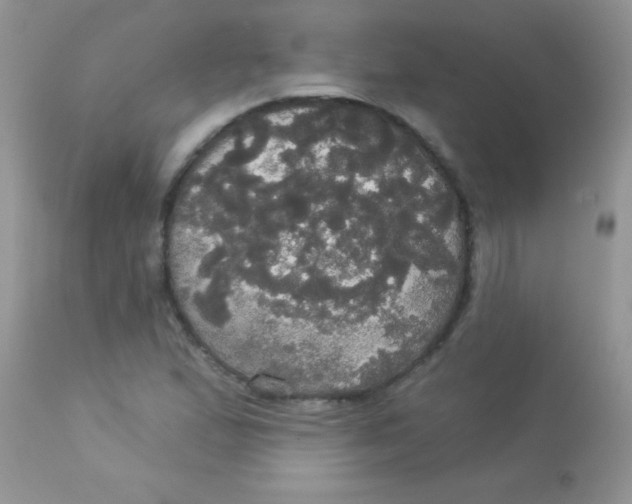 X0000113081167200909182042