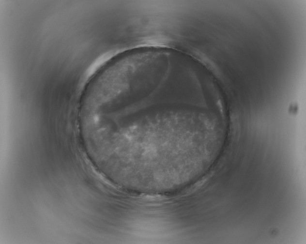 X0000113081168200909182042