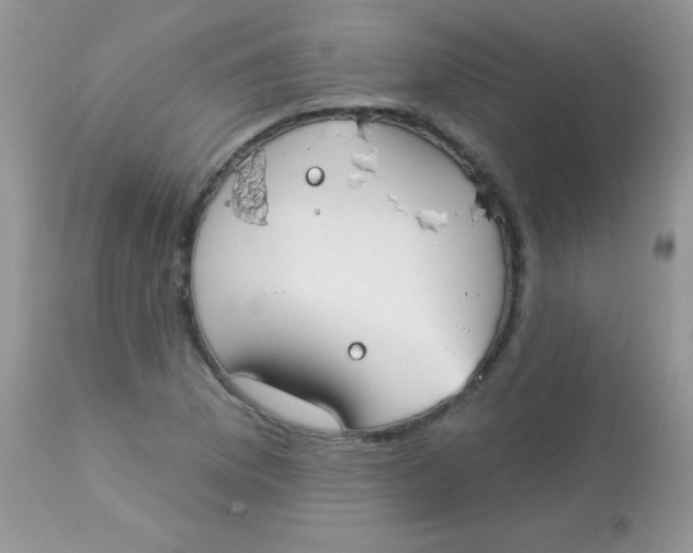 X0000113081169200909182042