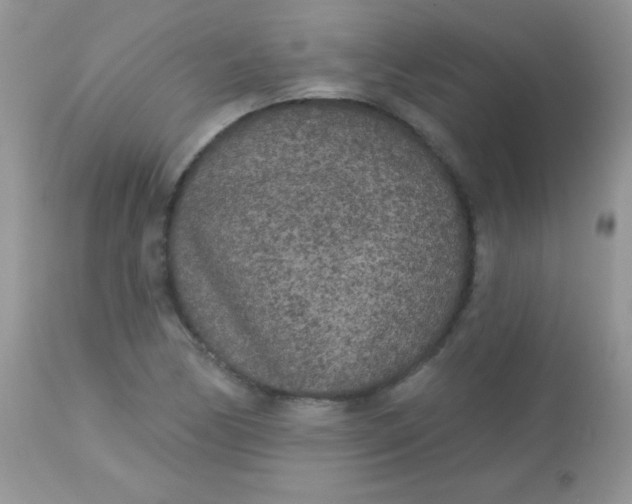 X0000113081170200909182042