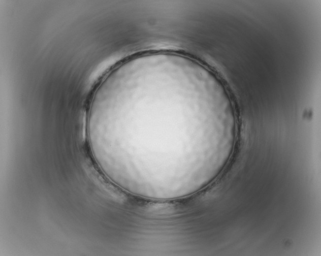 X0000113081171200909182042