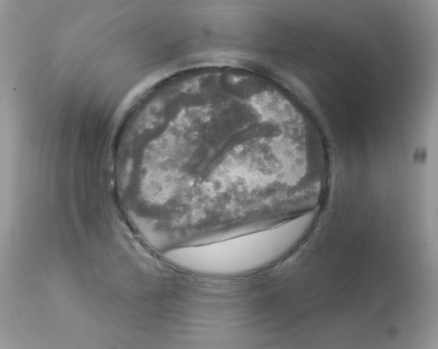 X0000113081172200909182042