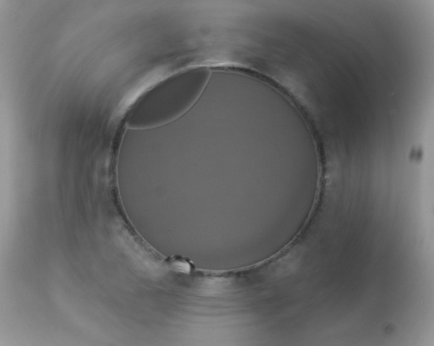 X0000113081173200909182042