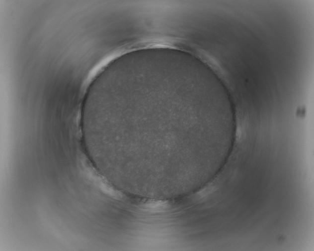 X0000113081174200909182042