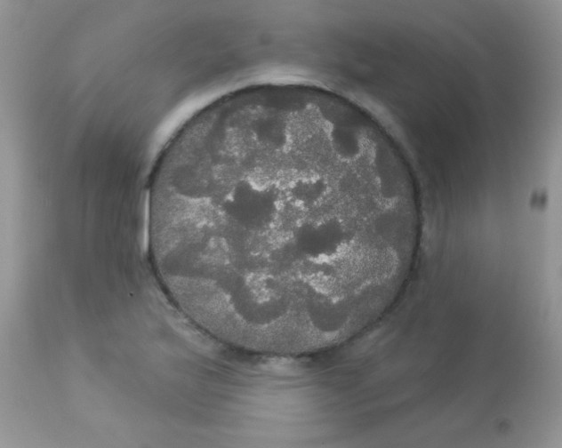 X0000113081175200909182042