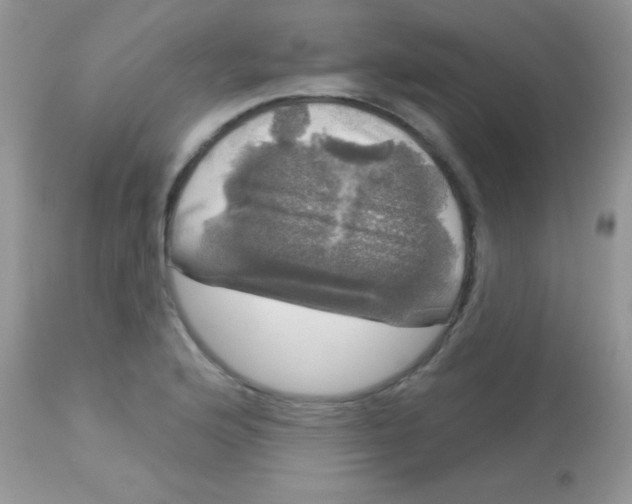 X0000113081176200909182042