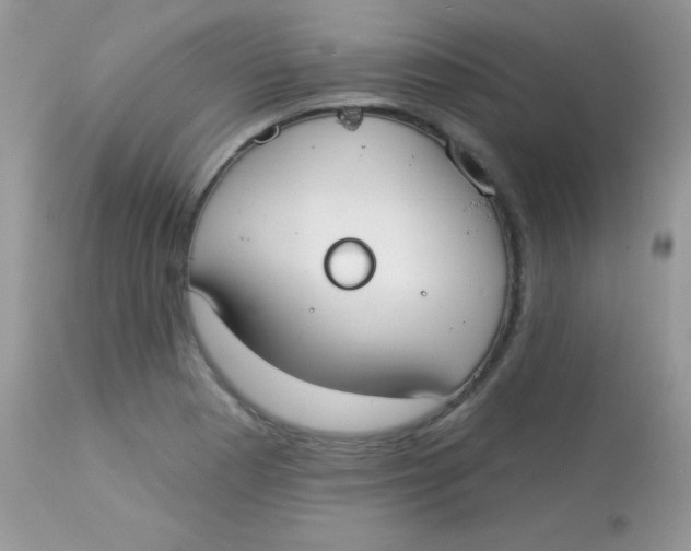 X0000113081177200909182042