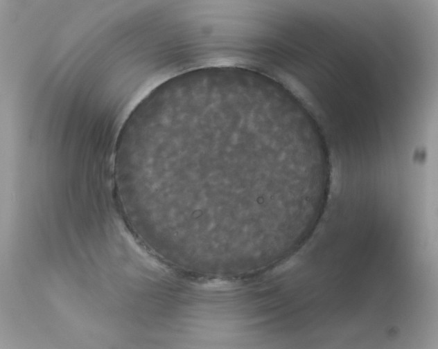 X0000113081178200909182042