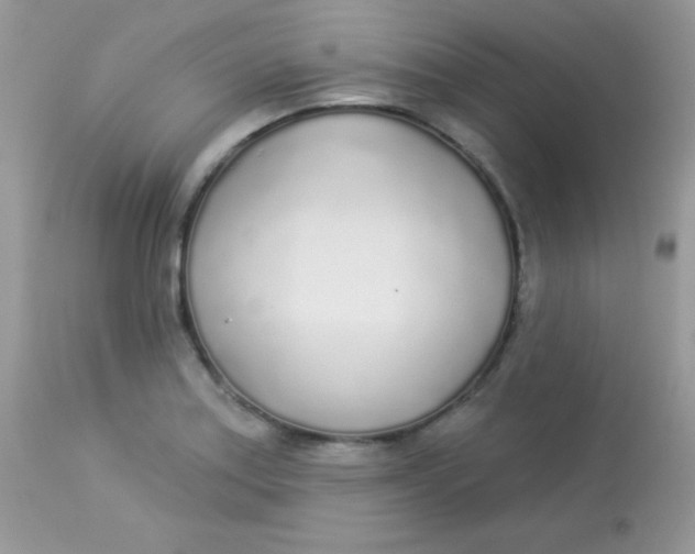 X0000113081179200909182042