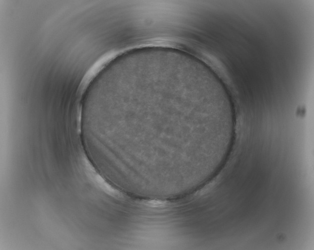 X0000113081180200909182042