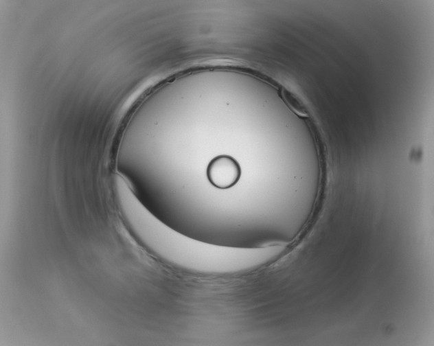 X0000113081181200909182042