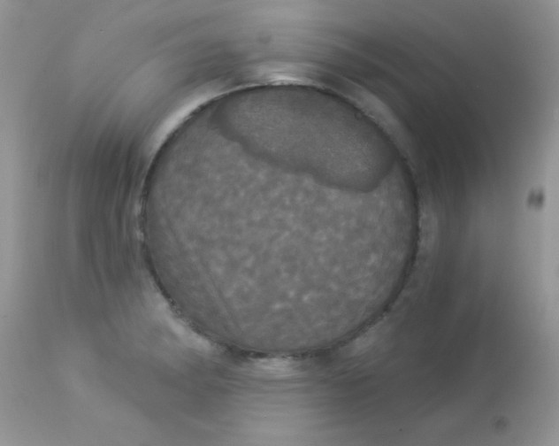 X0000113081182200909182042