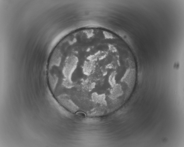 X0000113081183200909182042