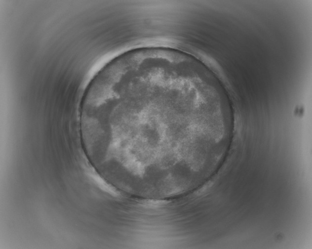 X0000113081184200909182042