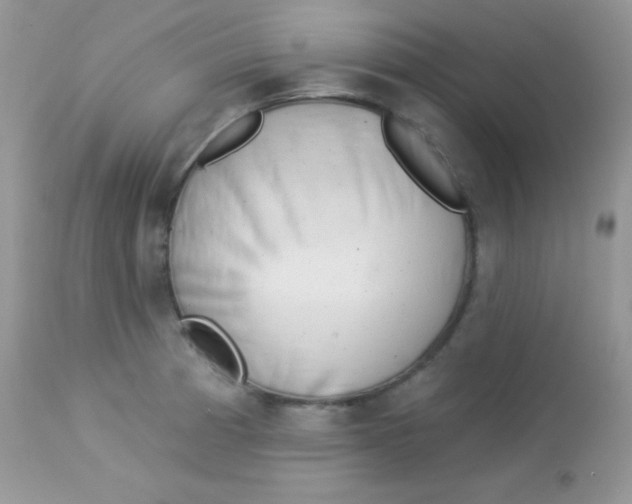 X0000113081185200909182042