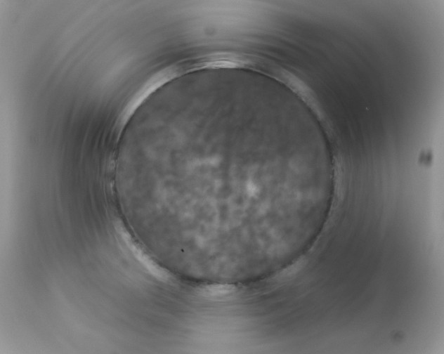 X0000113081186200909182042