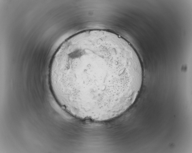 X0000113081187200909182042