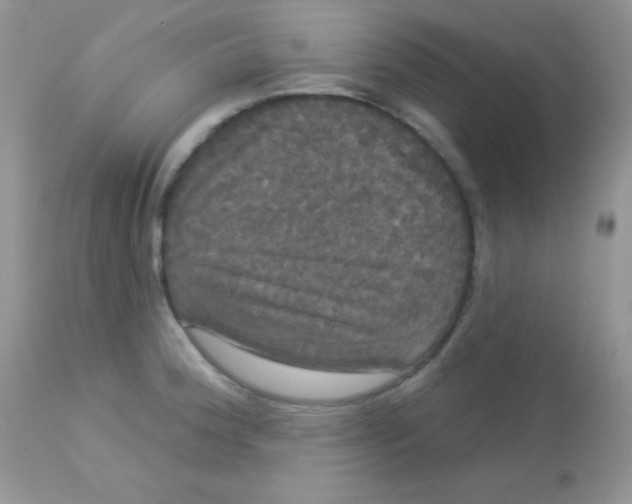 X0000113081188200909182042