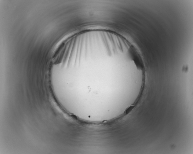 X0000113081189200909182042