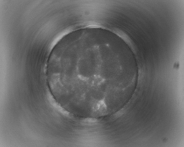 X0000113081190200909182042