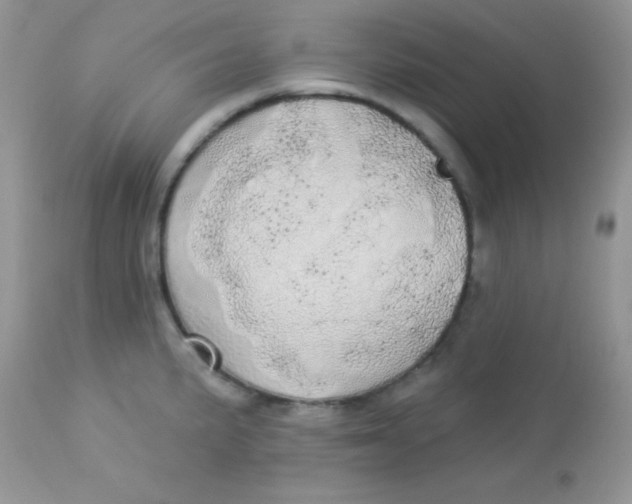 X0000113081191200909182042