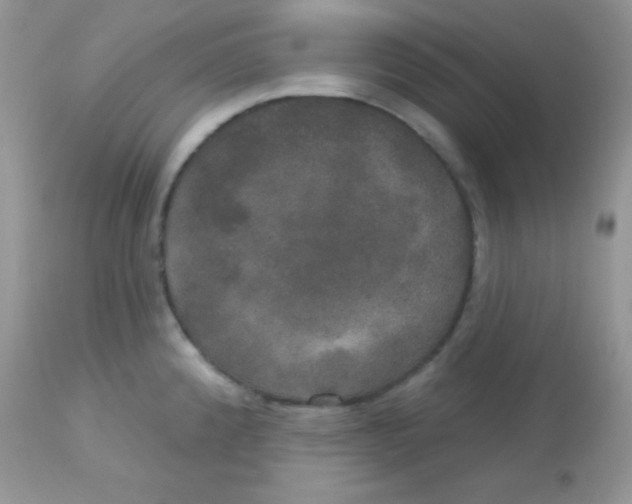 X0000113081192200909182042