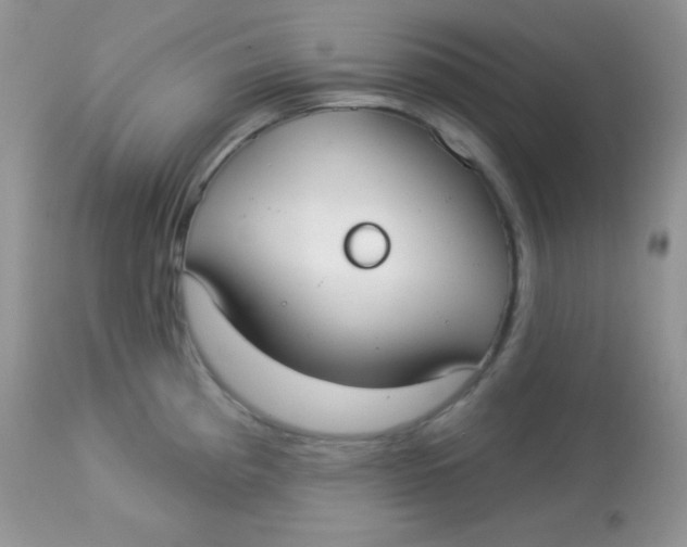 X0000113081193200909182042