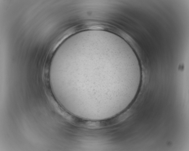 X0000113081194200909182042