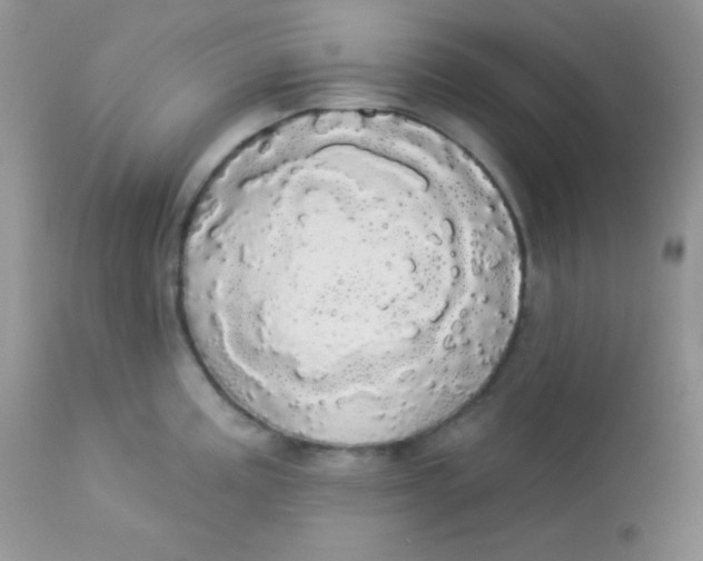 X0000113081195200909182042